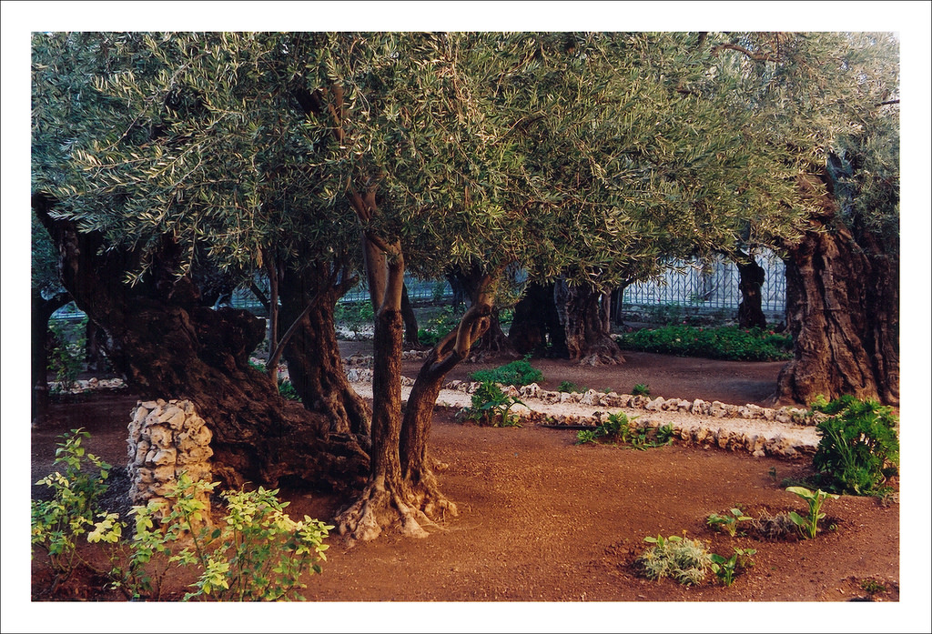 Meditating in the Garden With Jesus